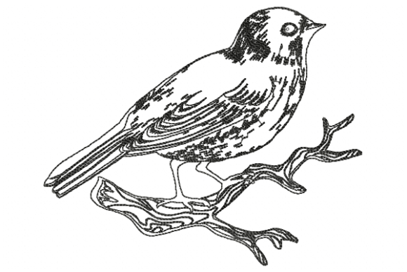 Bird Line Embroidery Design Review