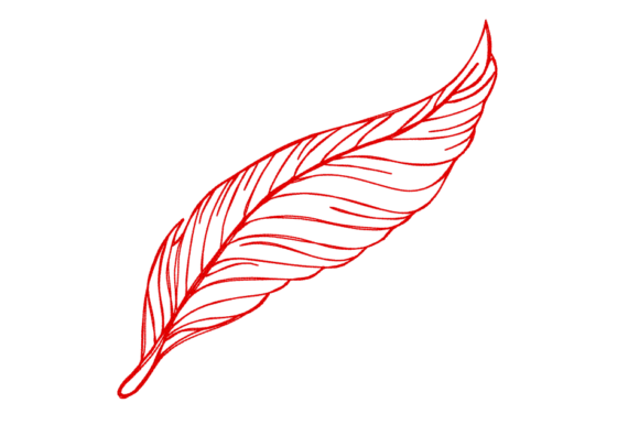 Feather Continuous Line Review